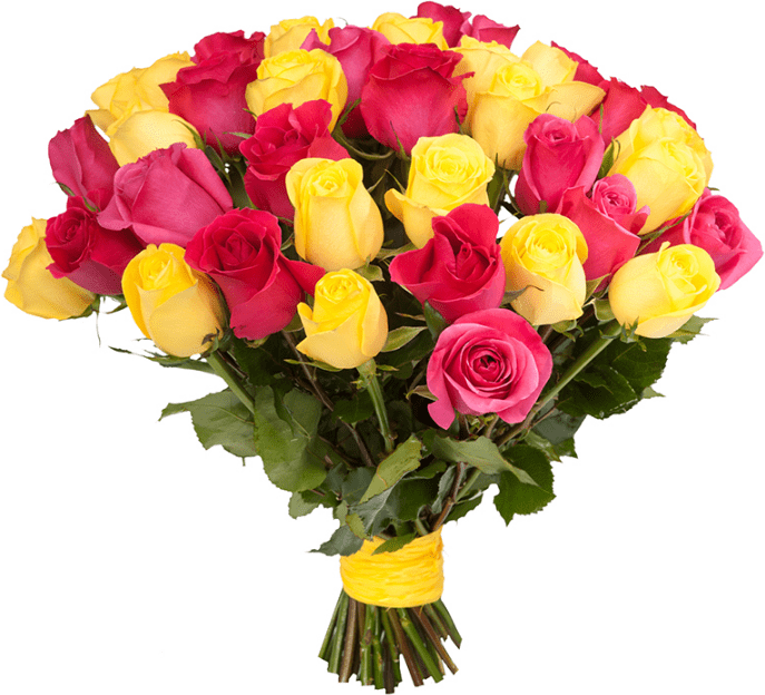 Розы Голландия микс № 1